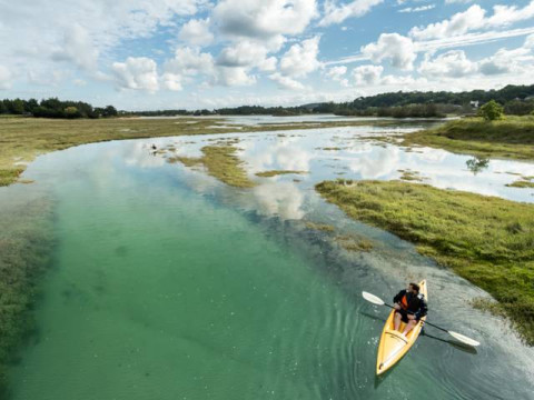 Découverte kayak/environnement "jeu de piste dans le marais"